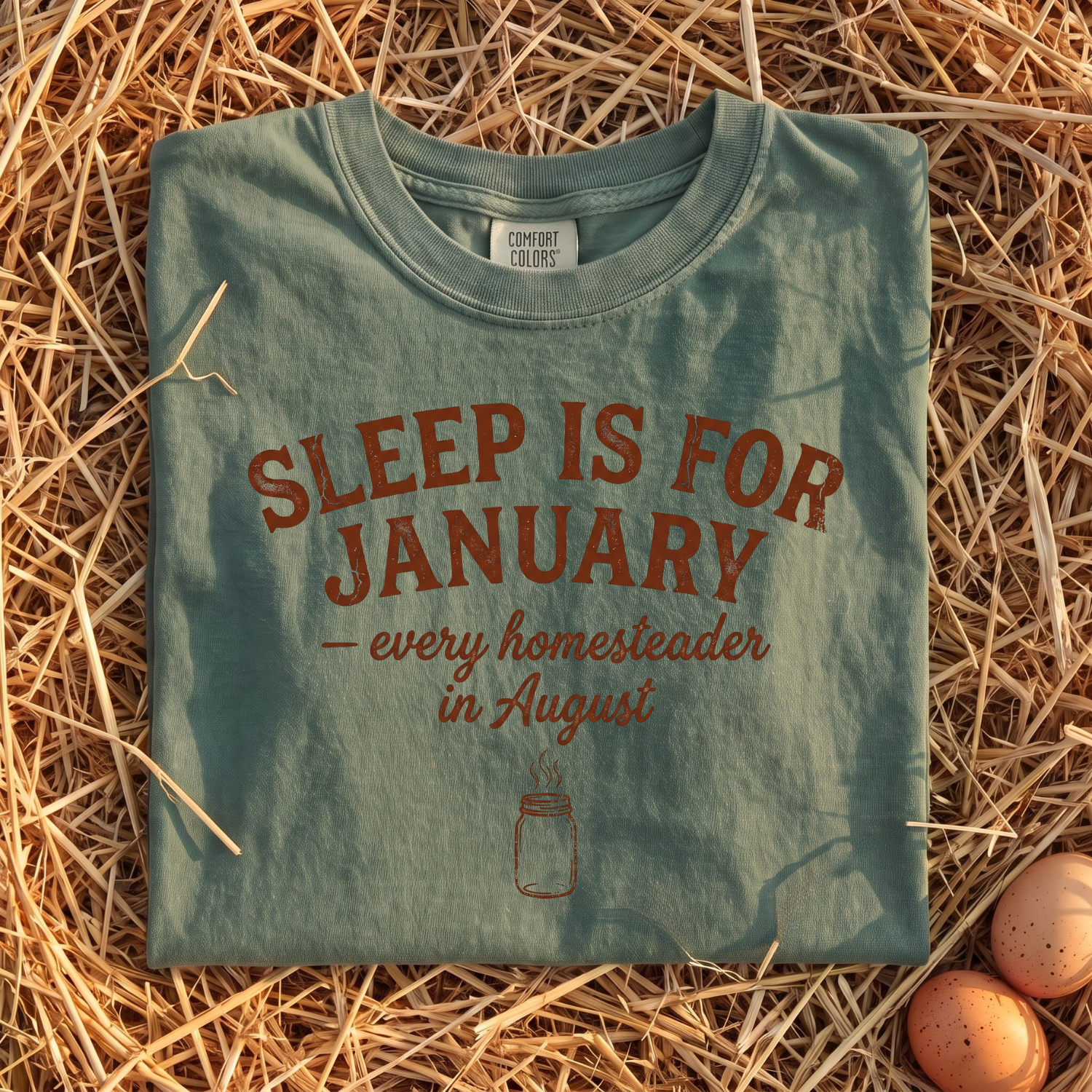 Sleep Is For January T-Shirt