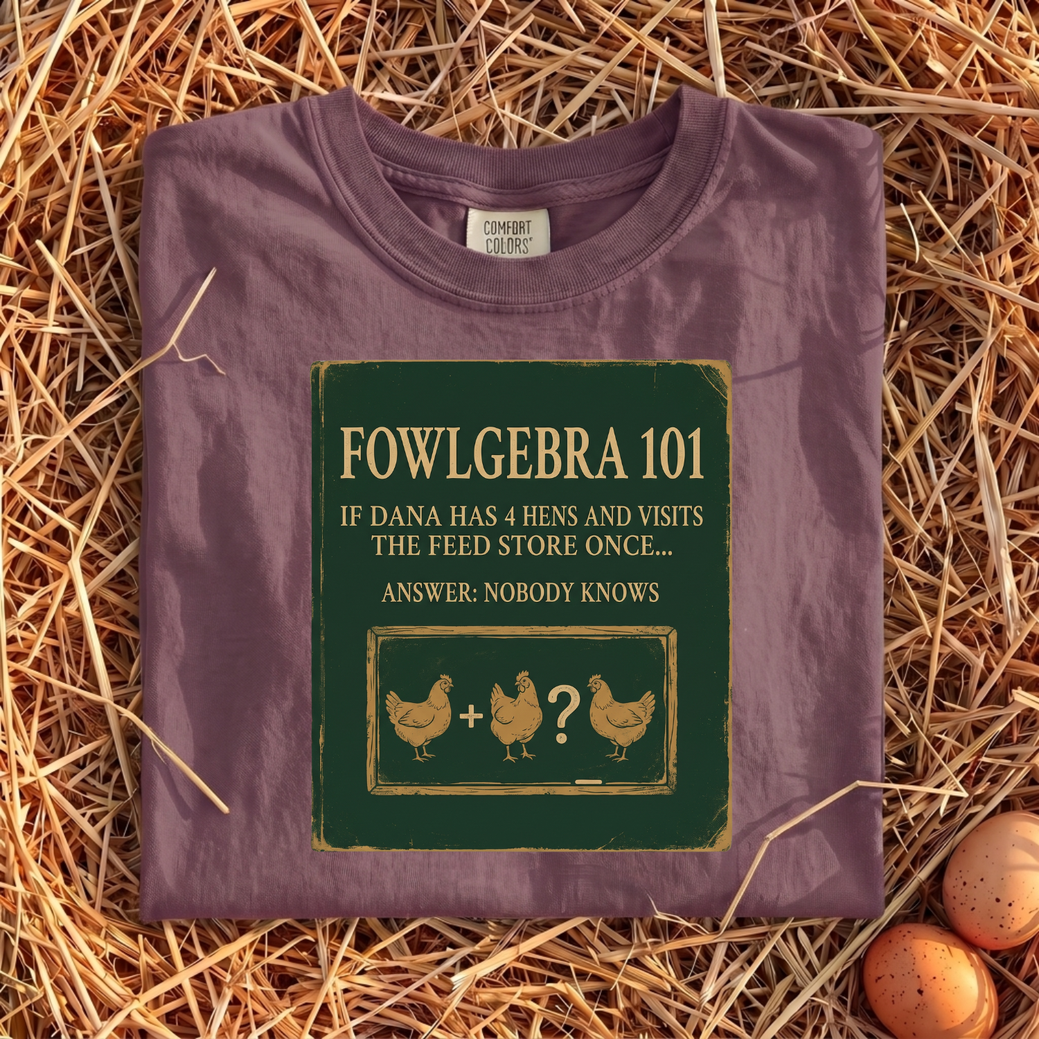 Fowlgebra 101 T-Shirt
