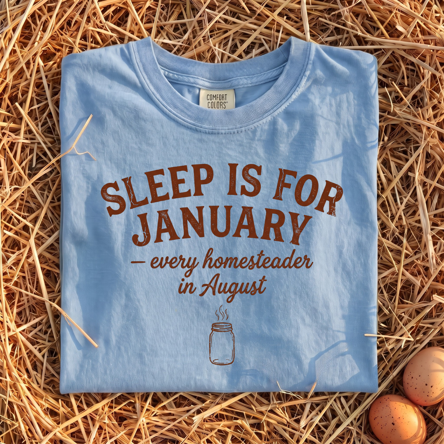Sleep Is For January T-Shirt