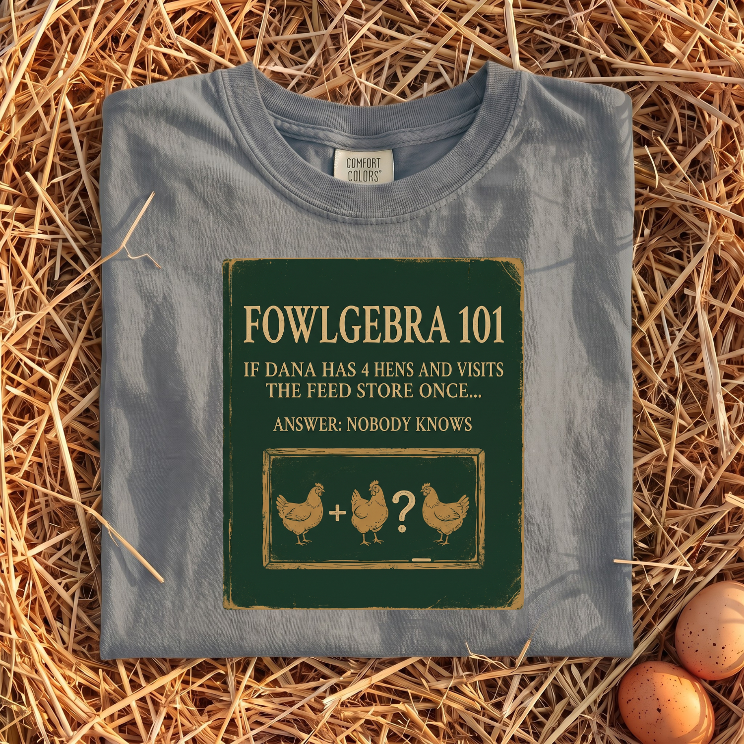 Fowlgebra 101 T-Shirt