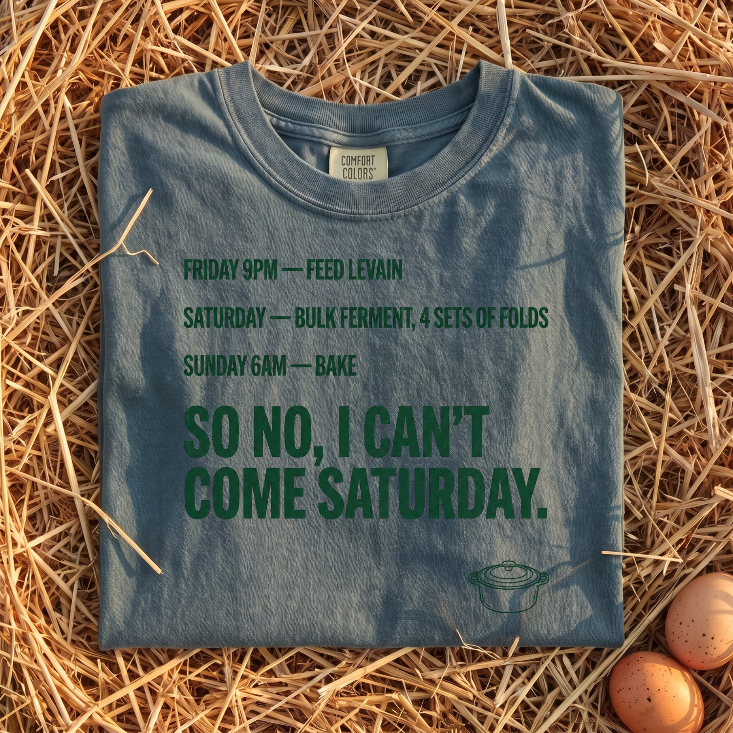 I Can't Come Saturday T-Shirt