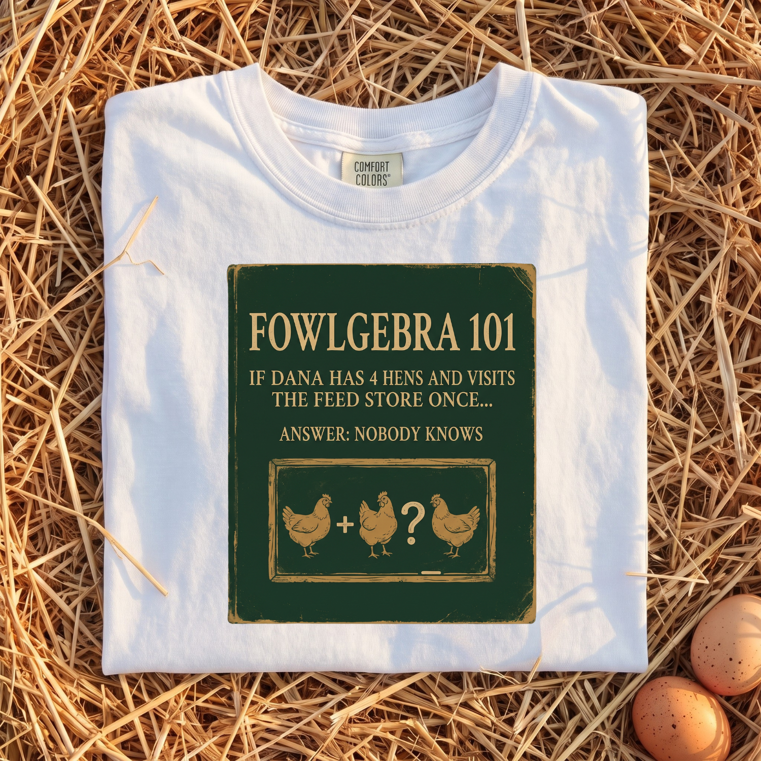 Fowlgebra 101 T-Shirt